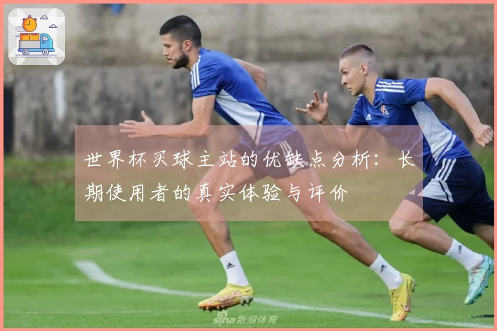 世界杯买球主站的优缺点分析：长期使用者的真实体验与评价