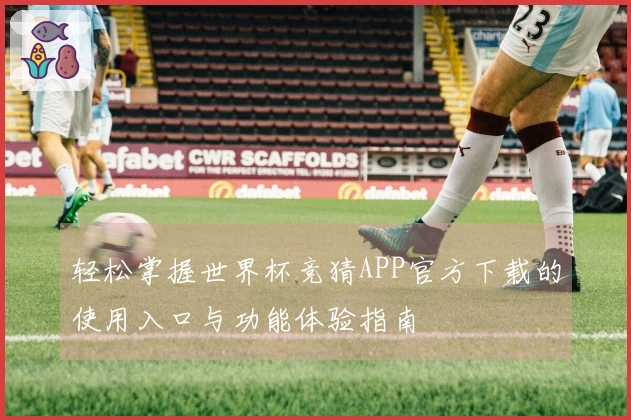 轻松掌握世界杯竞猜APP官方下载的使用入口与功能体验指南