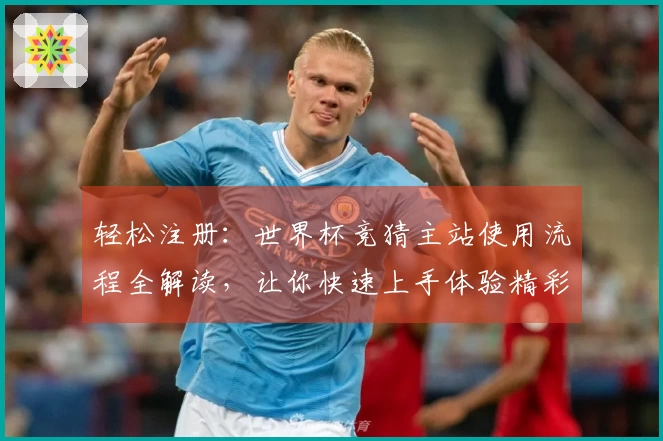 轻松注册：世界杯竞猜主站使用流程全解读，让你快速上手体验精彩内容