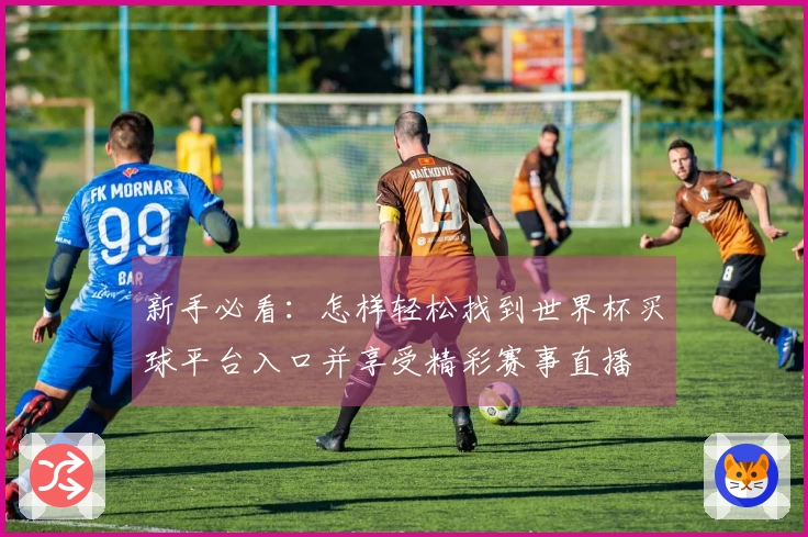 新手必看：怎样轻松找到世界杯买球平台入口并享受精彩赛事直播